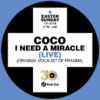 Coco I Need A Miracle at 30sandSugar