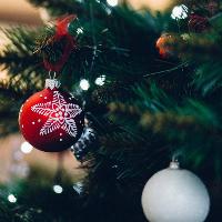 Gut-friendly Christmas Dinner Talk