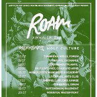 ROAM at Record Junkee