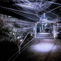 HALLOWEEN Party @ The Roof Gardens