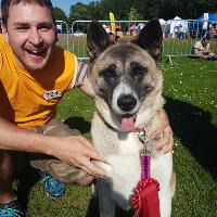 All About Dogs Show Norfolk at Norfolk Showground