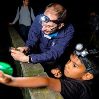Bat Walk