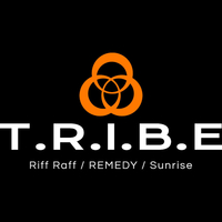 T.R.I.B.E T.R.I.B.E
