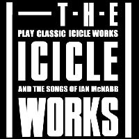 The Icicle Works at The Flowerpot