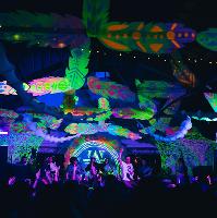 Fiesta Bombarda Constellations Carnival at Constellations
