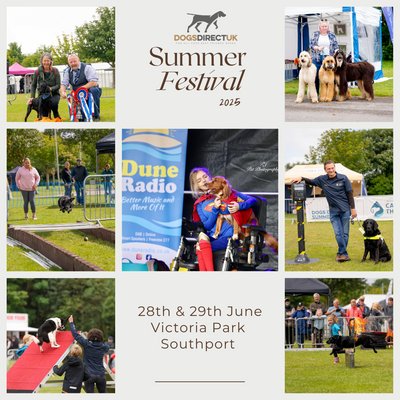 Dogs Direct UK Summer Festival