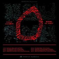 Cult Leader and Birds In Row at The Underworld Camden