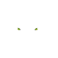 DarkCatz - Food n Groove