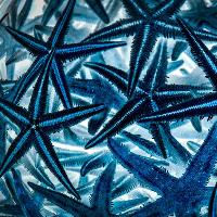 Patterns photography exhibition