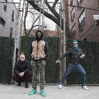 Too Many Zooz