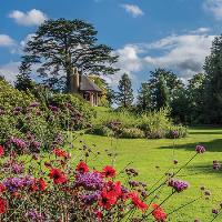 Summer Walk & Lunch with the Head Gardener
