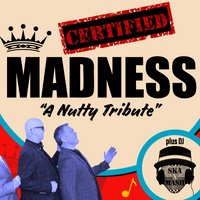 Certified Madness in Stanford-le-Hope