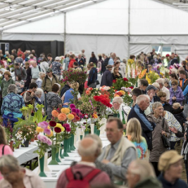 Chorley Flower Show
