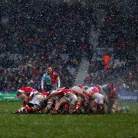 Harlequins v Benetton Rugby