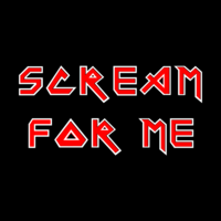 Scream For Me (Iron Maiden tribute) @ Thu Bungalow, Paisley. at The Bungalow Bar