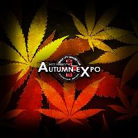 DCCC Presents The Autumn Expo