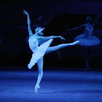 Swan Lake Live from the Bolshoi Theatre, Moscow