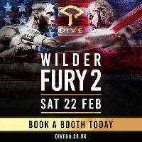 Wilder vs Fury II at Dive NQ