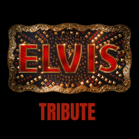 Elvis Tribute Night at Ronnie Roos