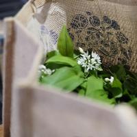 Hedgerow & Forest Foraging - LEARN.COOK.DINE at Brighton Cookery School