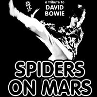 SPIDERS ON MARS Tribute to David Bowie