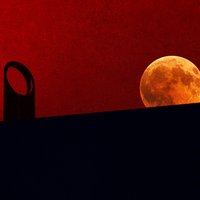 Plaza Camden Presents - Halloween Special Event at Plaza Camden