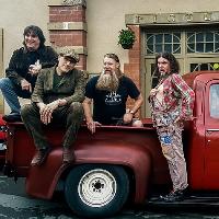 Hayseed Dixie