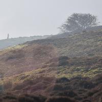 Wuthering Heights