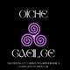 Oíche Gaeilge | Irish Evening Event Title Pic