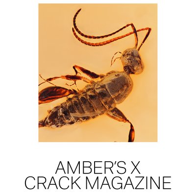sadsalesman BUGS IN AMBER アートトイ Bugs In Amber #1 - Dumblebee - Vinyl Pulse