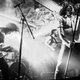 Pulled Apart By Horses Event Title Pic