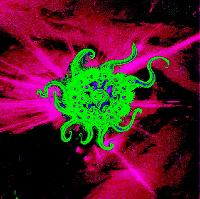 Optimystic & Friends Jungle/DnB Session 30 at The Red Lion BS5