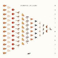 Dominik Eulberg Mannigfaltig Live Visual Show - UK Debut
