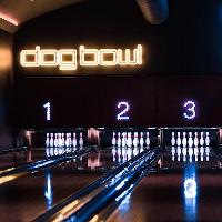 Dog Bowl Industry Night