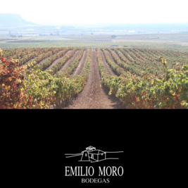 An evening with Nacho Andres from Emilio Moro vineyards