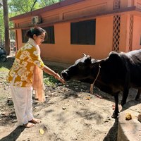 200-Hour Yoga Teacher Training Course in Dehradun at Kunwar Yoga  Mahadev Residency, Old Nehru Colony