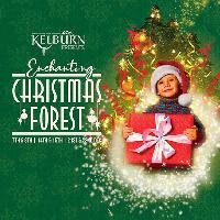 Kelburn's Christmas Forest at Kelburn Country Centre