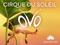 Cirque Du Soleil: Ovo at The Royal Albert Hall