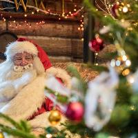 Christmas Weekends at WWT London Wetland Centre