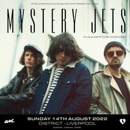 Mystery Jets