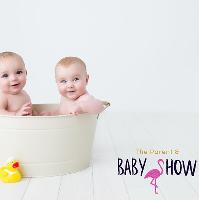The Parent and Baby Show