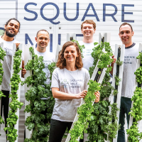 Paddington Central presents How To Create an Edible Table Centre