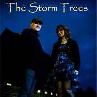 Open Mic featuring The Storm Trees at The Forest