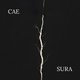 Lonely Daze 'Caesura' Ep Launch Night Event Title Pic