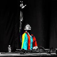 Junglists Run Come - Gold Dubs, Cheshire Cat, Papa Gee + More