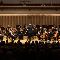 Manchester Camerata: The Lark Ascending and The Sounds of Nature at The Stoller Hall