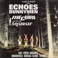 Echoes Of The Bunnymen // Liqueur: The Cure Tribute