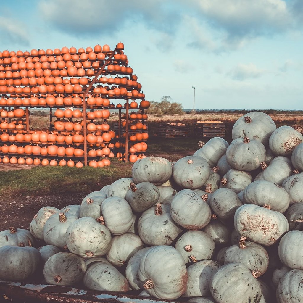Halloween Farm at Cattows Farm, Leicester