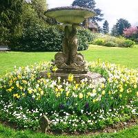 Workshop: Spring Propagation at The Swiss Garden