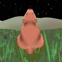 Little Bear goes North